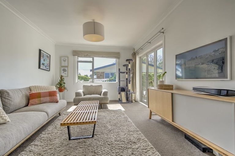 Photo of property in 19 Nixon Street, Hamilton East, Hamilton, 3216