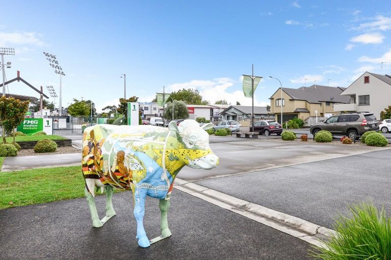 Photo of property in 432u1 Tristram Street, Whitiora, Hamilton, 3200