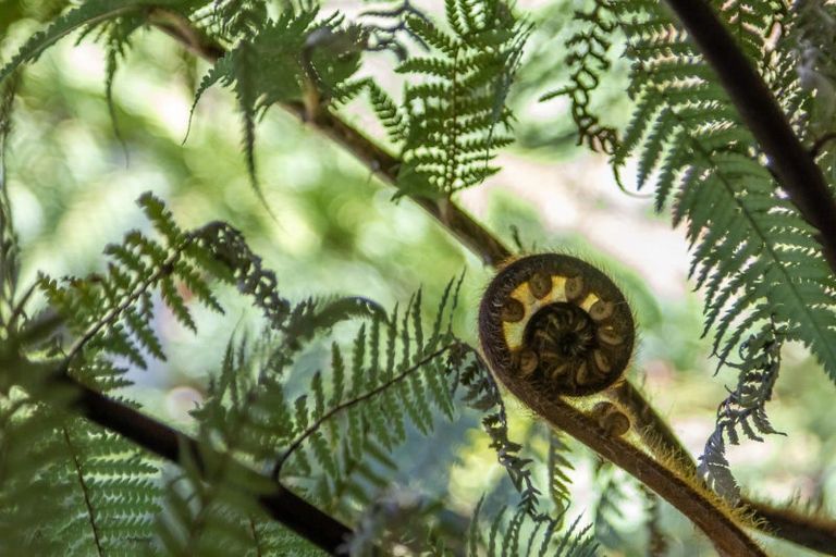 Photo of property in 30 Rata Street, Waikanae, 5036