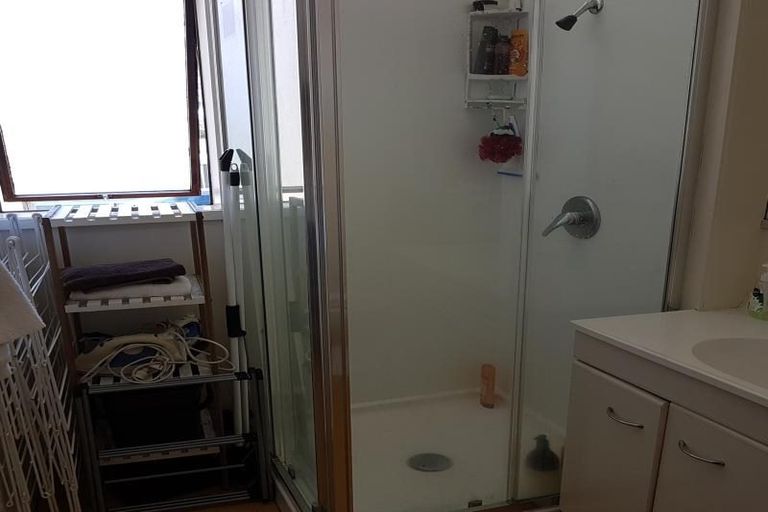 Photo of property in Te Awhina Apartments, 22u3 Sussex Street, Mount Cook, Wellington, 6021