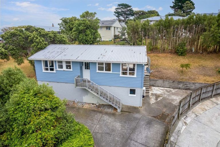 Photo of property in 21 Desert Gold Street, Ascot Park, Porirua, 5024