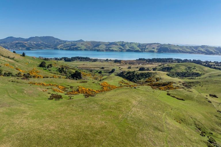 Photo of property in 452 Harington Point Road, Lower Portobello, Dunedin, 9077