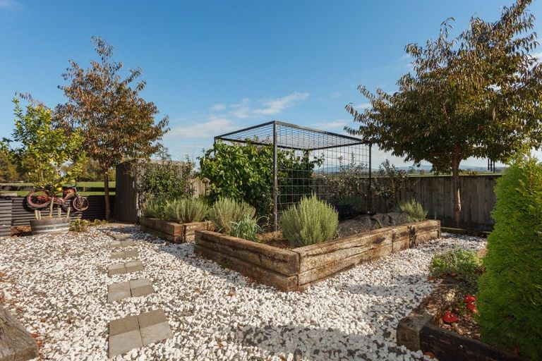 Photo of property in 299 Tower Road, Matamata, 3471