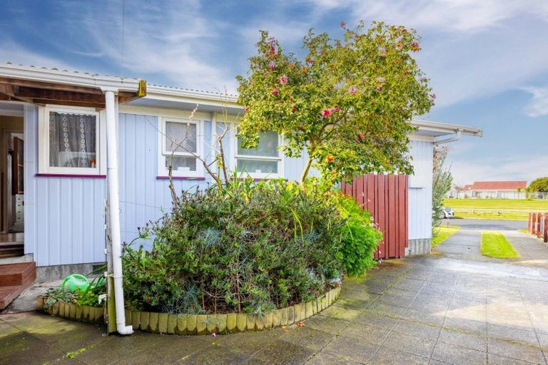 Photo of property in 24 Essex Street, Tamatea, Napier, 4112