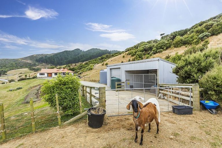 Photo of property in 499 South Makara Road, Makara, Karori, 6972