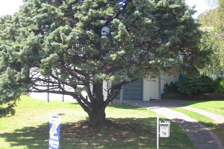 Photo of property in 58 Pemberton Avenue, Bayview, Auckland, 0629