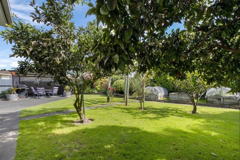 Photo of property in 53b Elbourne Street, Taradale, Napier, 4112
