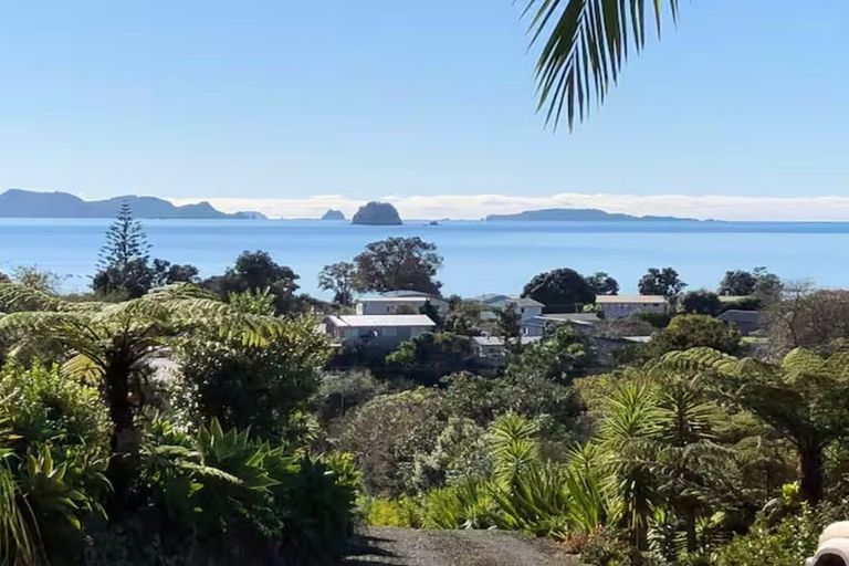 Photo of property in 939a Purangi Road, Cooks Beach, Whitianga, 3591
