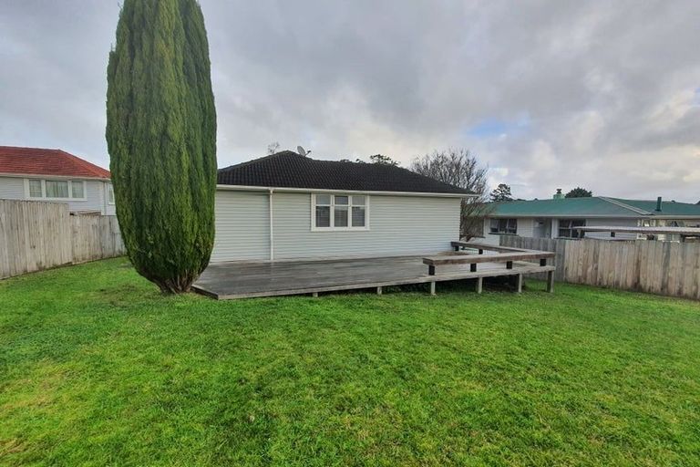 Photo of property in 9 Hinau Street, New Lynn, Auckland, 0600