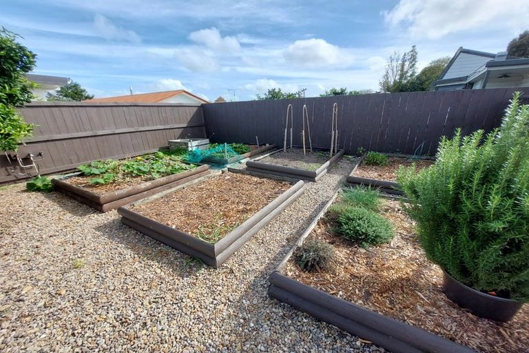 Photo of property in 12 Chequers Avenue, Chartwell, Hamilton, 3210