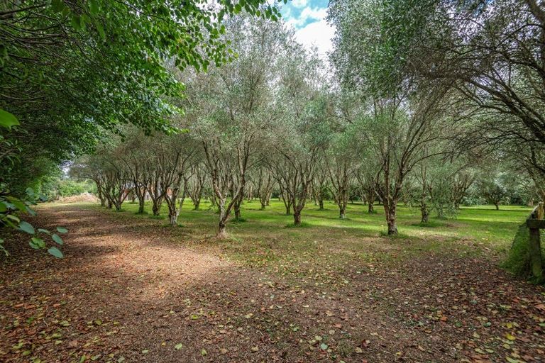Photo of property in 49 Joblins Road, Levin, 5571