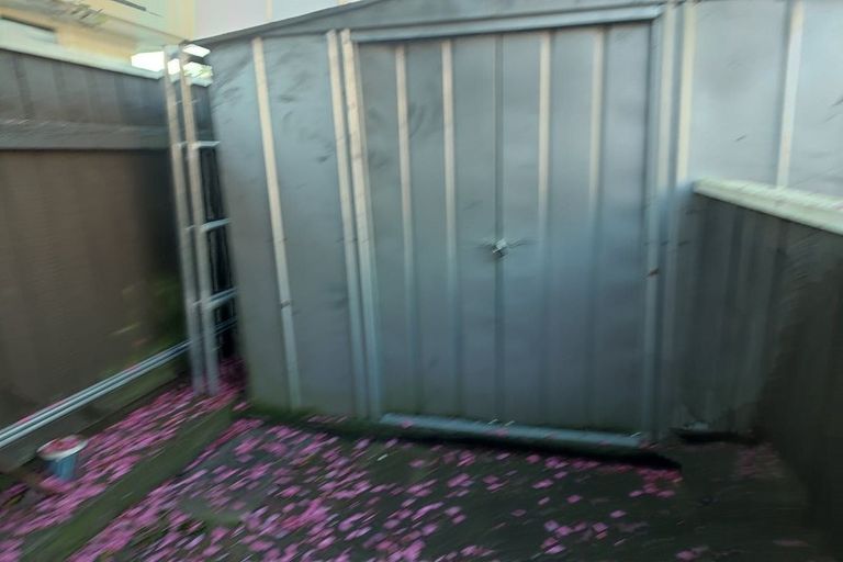 Photo of property in 31 Nile Street, Waterloo, Lower Hutt, 5011