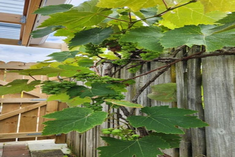 Photo of property in 20 Mercury Lane, Windsor Park, Auckland, 0632