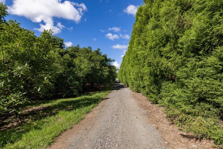 Photo of property in 485 Mangakahia Road, Maungatapere, Whangarei, 0179