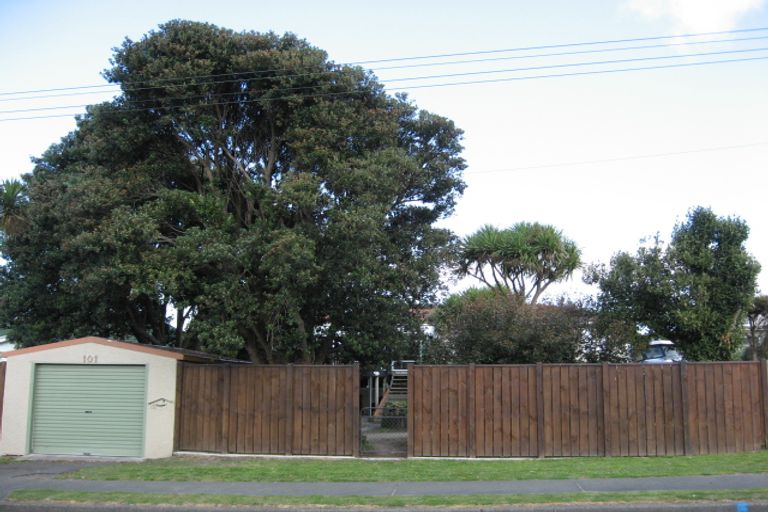 Photo of property in 101 Karaka Street, Castlecliff, Whanganui, 4501