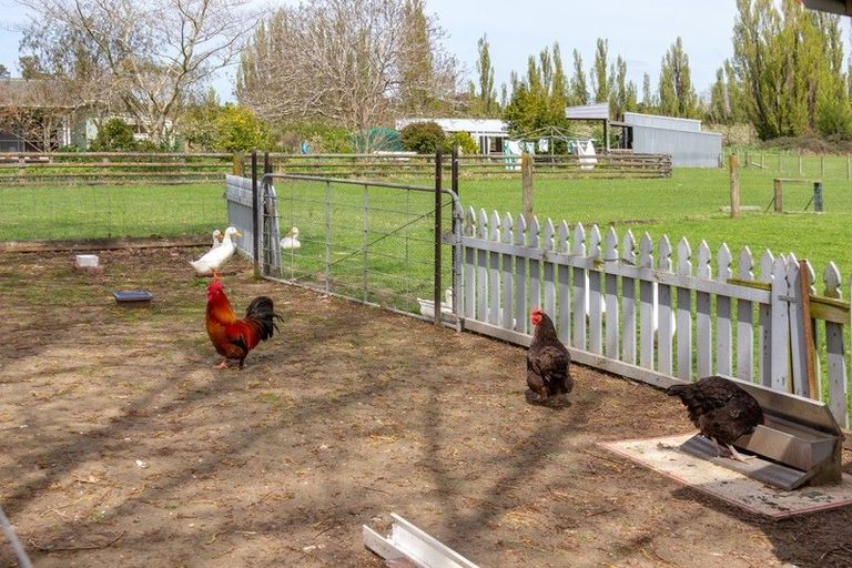 Photo of property in 85 North Street, Greytown, 5712