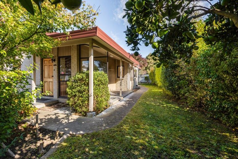 Photo of property in 101 Mayfair Avenue, Mayfair, Hastings, 4122