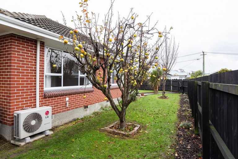 Photo of property in 118 Edinburgh Street, Spreydon, Christchurch, 8024