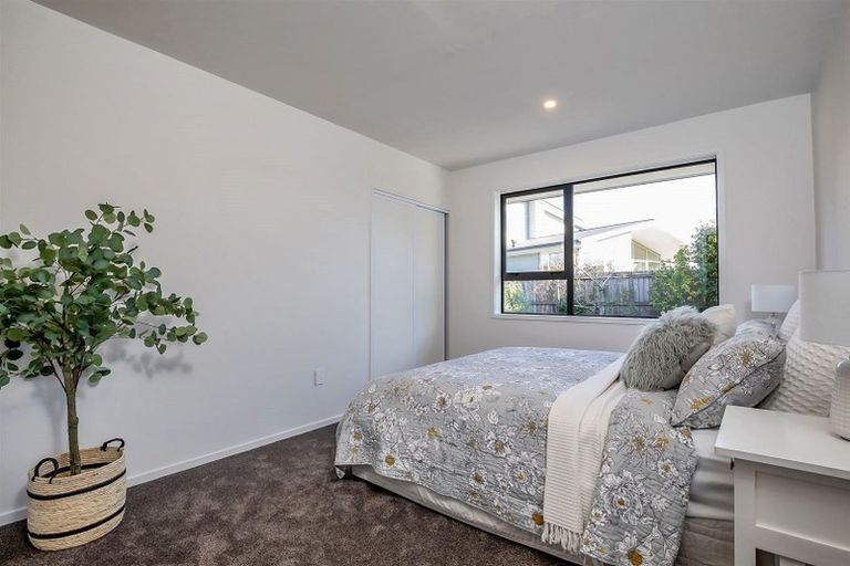 Photo of property in 214 Riverlaw Terrace, Saint Martins, Christchurch, 8022