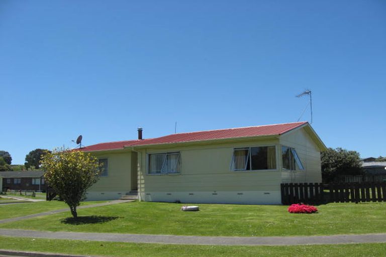 Photo of property in 161 Pollard Drive, Te Awamutu, 3800