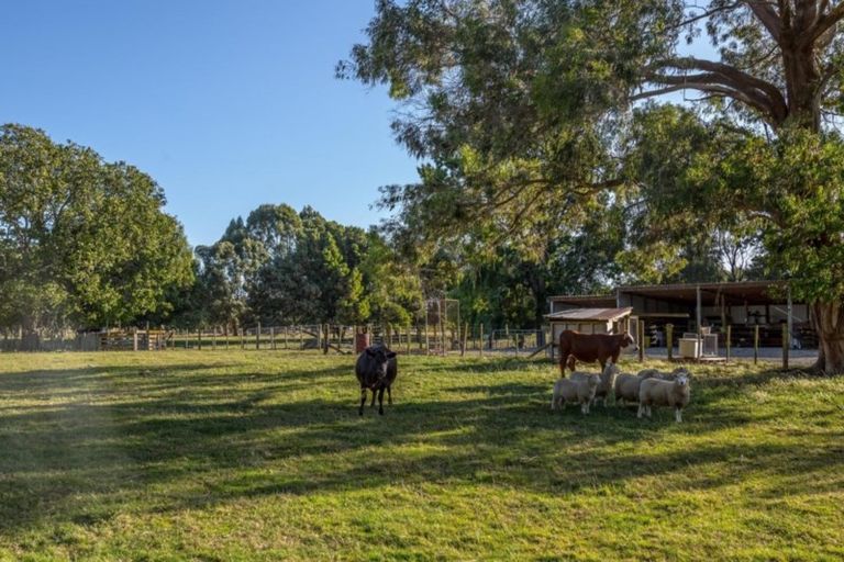 Photo of property in 182 Pukemiku Road, Mangamutu, Pahiatua, 4983