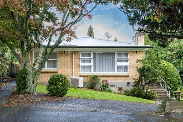 Photo of property in 14 Clark Place, Hillcrest, Hamilton, 3216