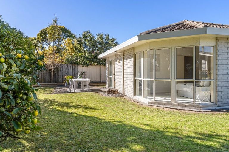 Photo of property in 53b Concord Avenue, Mount Maunganui, 3116