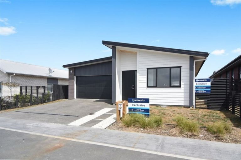 Photo of property in 29 Medway Place, Chartwell, Hamilton, 3210