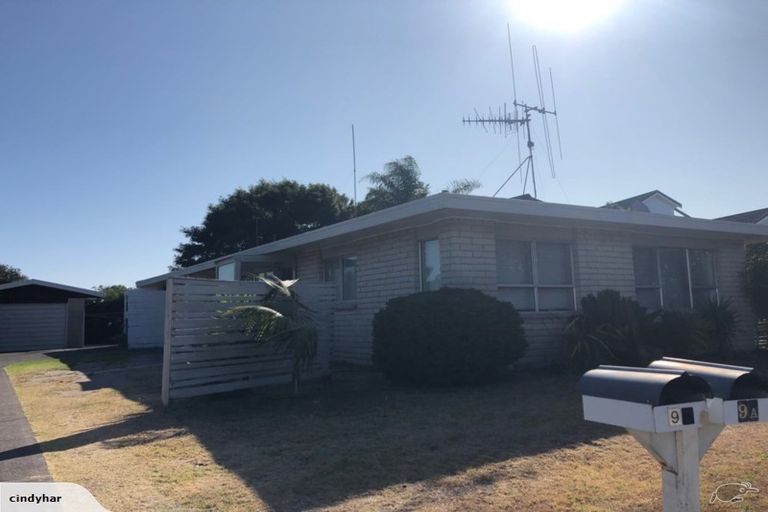 Photo of property in 9a Waitui Grove, Mount Maunganui, 3116