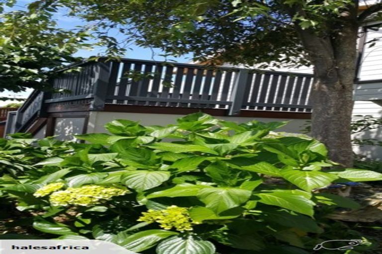 Photo of property in 8 Vincent Drive, Levin, 5510