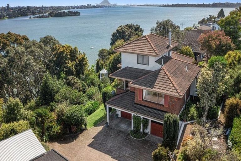 Photo of property in 45 Ririnui Place, Maungatapu, Tauranga, 3112