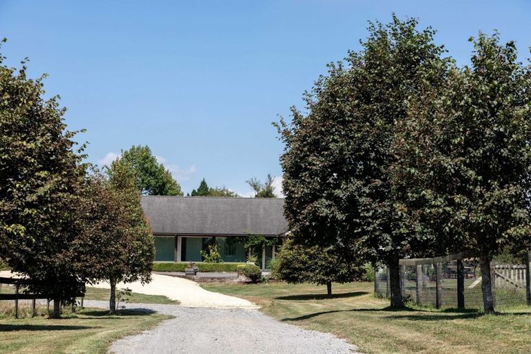 Photo of property in 218 Tarata Road, Inglewood, 4387