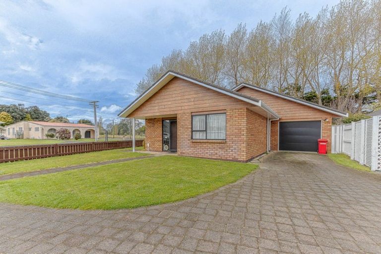 Photo of property in 21a Nikau Street, Tawhero, Whanganui, 4501
