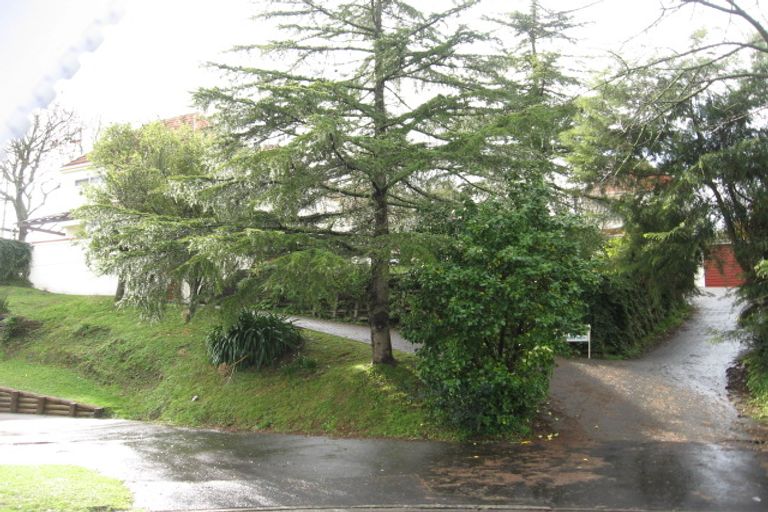 Photo of property in 29a Myrtle Street, Hamilton East, Hamilton, 3216