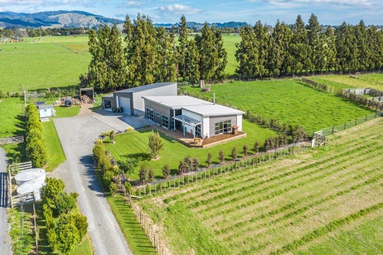 Photo of property in 112 Gladstone Road, Levin, 5571