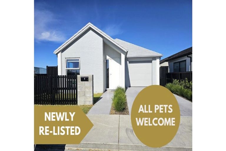 Photo of property in 8 Brooklyn Street, Papamoa, 3118