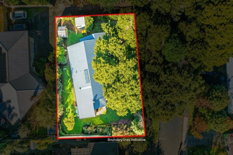 Photo of property in 5 Totara Grove, Hillcrest, Auckland, 0627