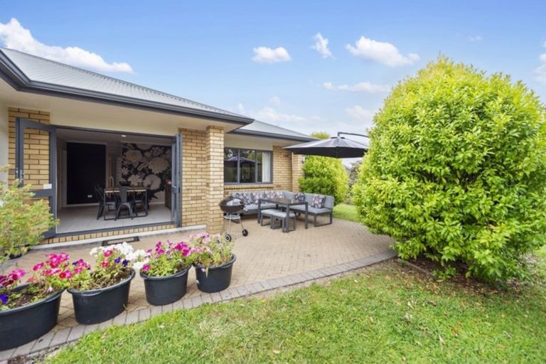 Photo of property in 16 Holford Place, Huntington, Hamilton, 3210