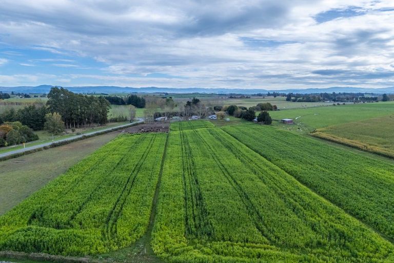 Photo of property in 414 Naughton Road, Kerrytown, Timaru, 7975
