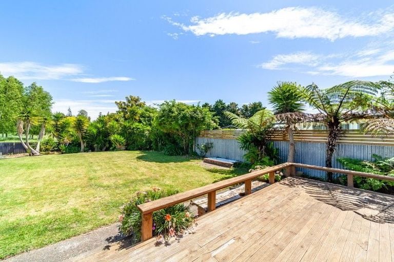 Photo of property in 36 Upham Street, Havelock North, 4130