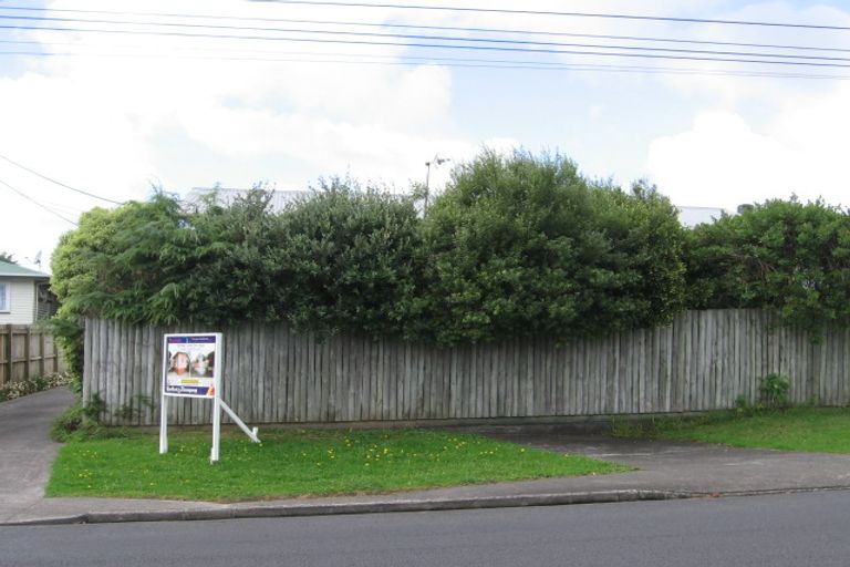 Photo of property in 163 Rathgar Road, Henderson, Auckland, 0610