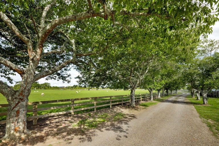 Photo of property in 248 Pokuru Road, Pokuru, Te Awamutu, 3875