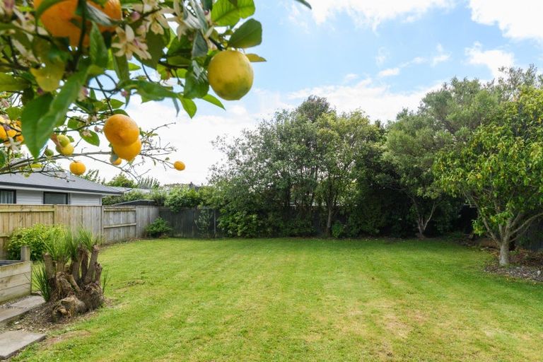 Photo of property in 42 Nottingham Avenue, Awapuni, Palmerston North, 4412