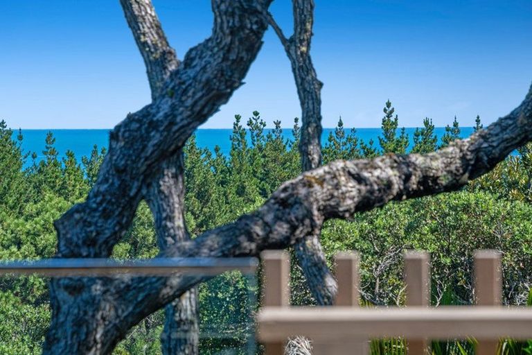 Photo of property in 167 Motutara Road, Muriwai, Waimauku, 0881