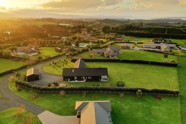 Photo of property in 423b Youngson Road, Whakamarama, Tauranga, 3179
