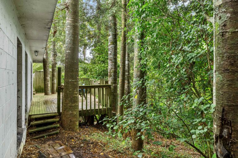 Photo of property in 19 Tainui Road, Titirangi, Auckland, 0604