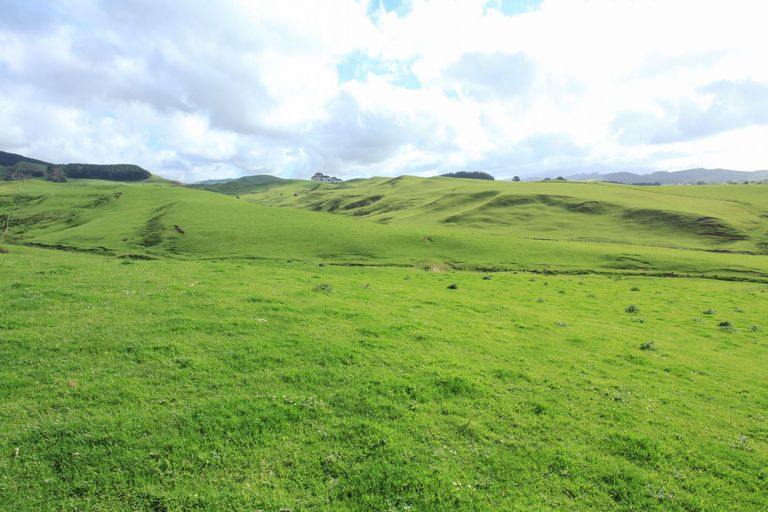 Photo of property in 30 Van Houtte Road, Raglan, 3295