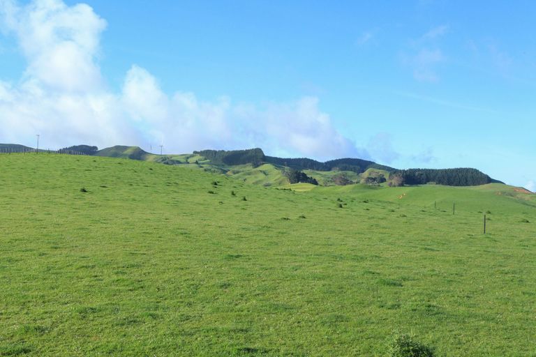 Photo of property in 42 Van Houtte Road, Raglan, 3295