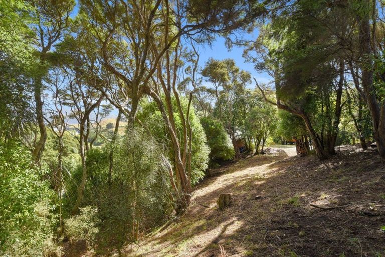 Photo of property in 2 Treetop Drive, Portobello, Dunedin, 9014