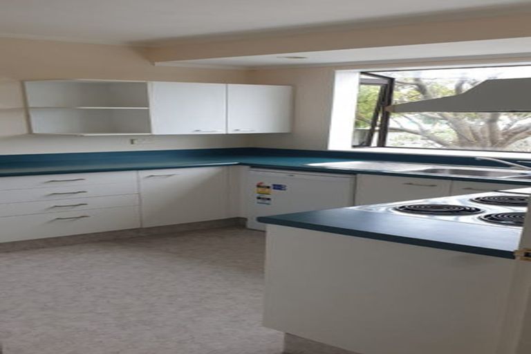 Photo of property in 107a Hobart Street, Miramar, Wellington, 6022